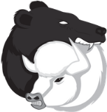 Bear & Bison Resurfacing Specialists, LLC